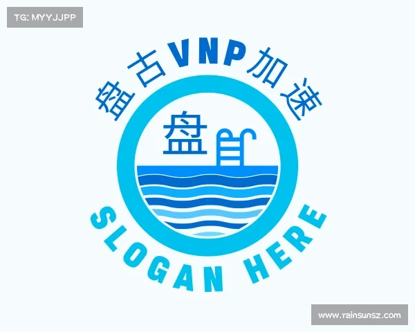 认识盘古vnp加速